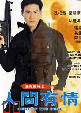 飞虎精英之人间有情