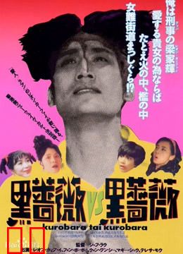 92黑玫瑰对黑玫瑰