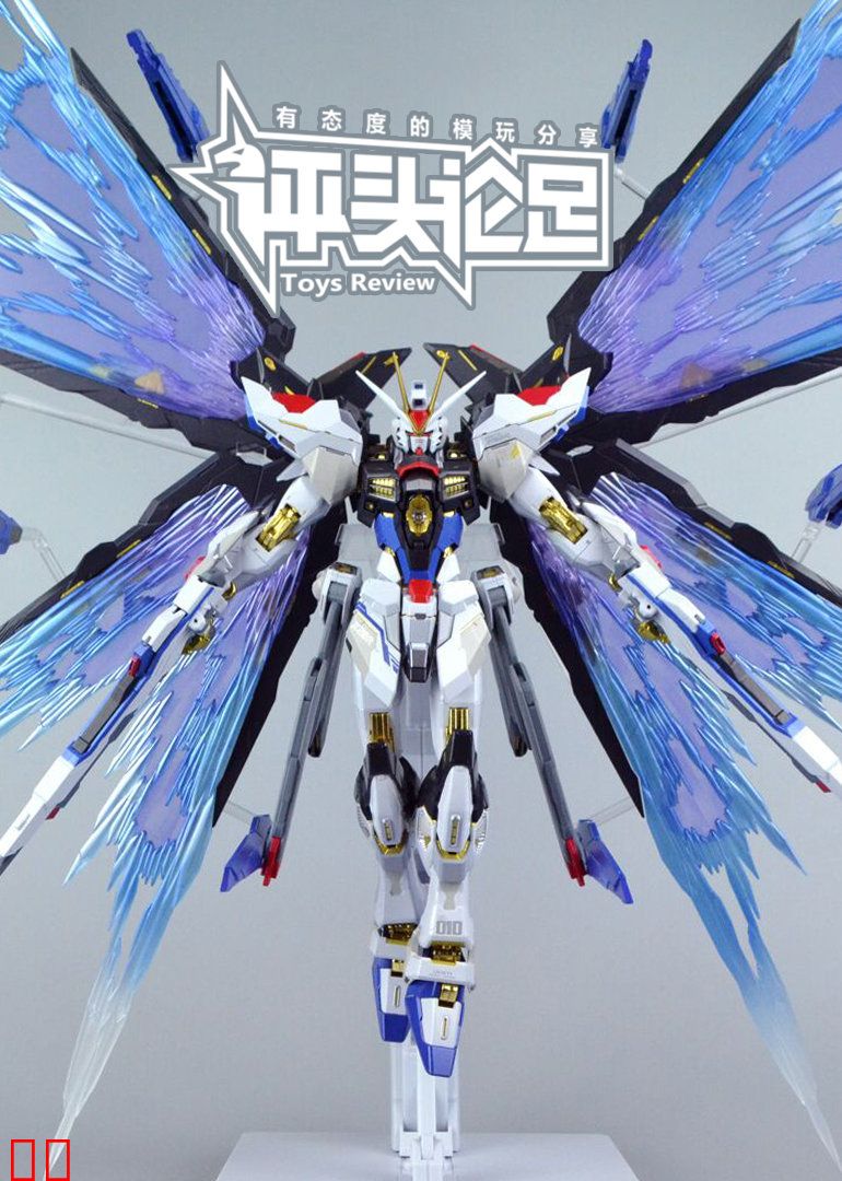 评头论足模玩分享