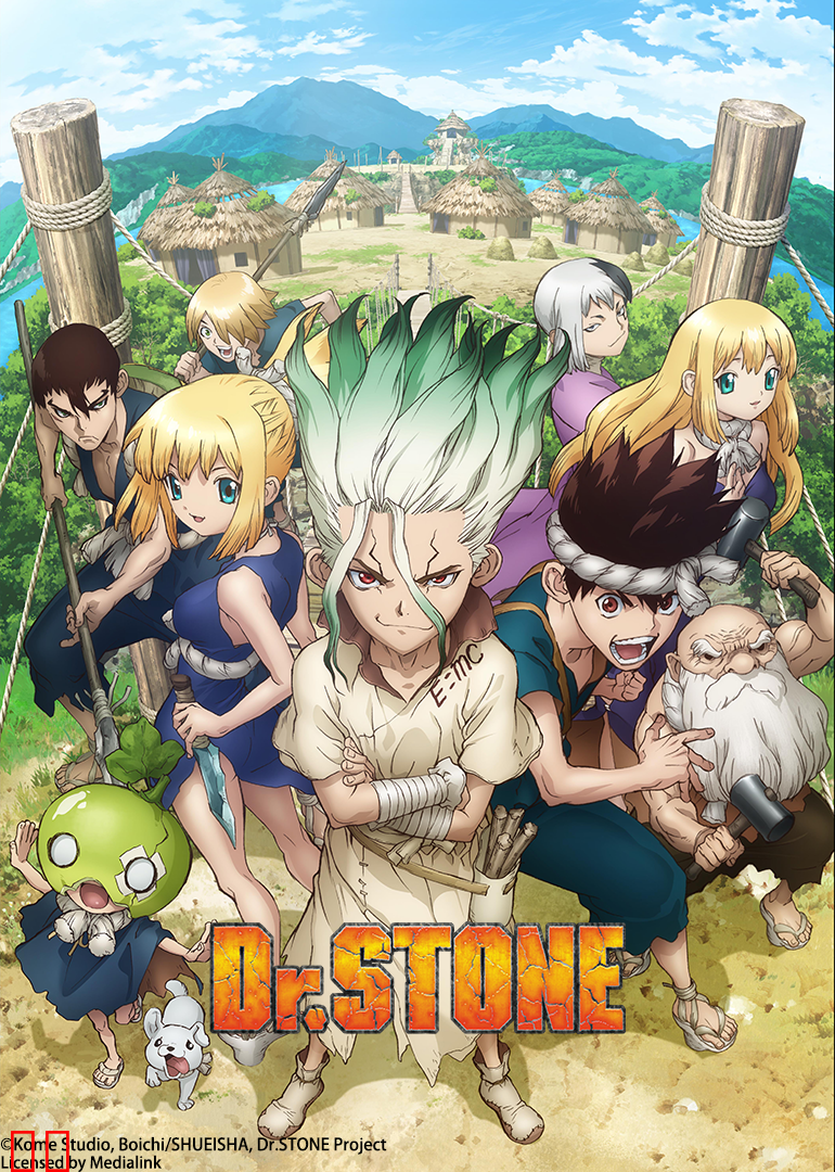 Ｄｒ．ＳＴＯＮＥ  石纪元 第一季