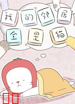 我的邻居全是猫