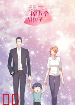 天上掉下个小包子 动态漫画