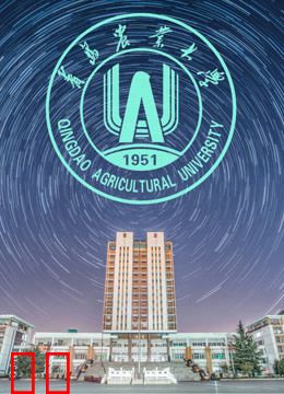 青岛农业大学作品集