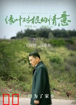 绿叶对根的情意