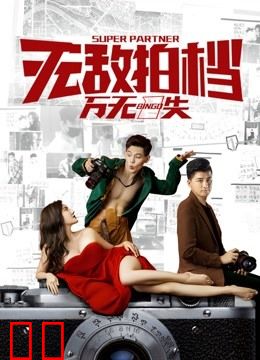 无敌拍档之万无一失