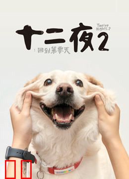 十二夜2：回到第零天