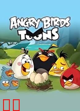 愤怒的小鸟 第一季