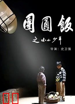 团圆饭之小小少年