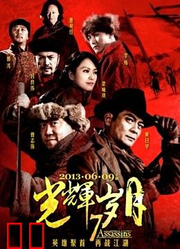 光辉岁月（2013）