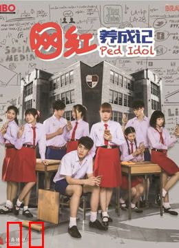 网红养成记普通话版