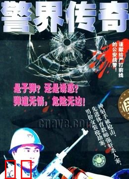 警界传奇