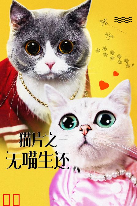 猫片之无喵生还
