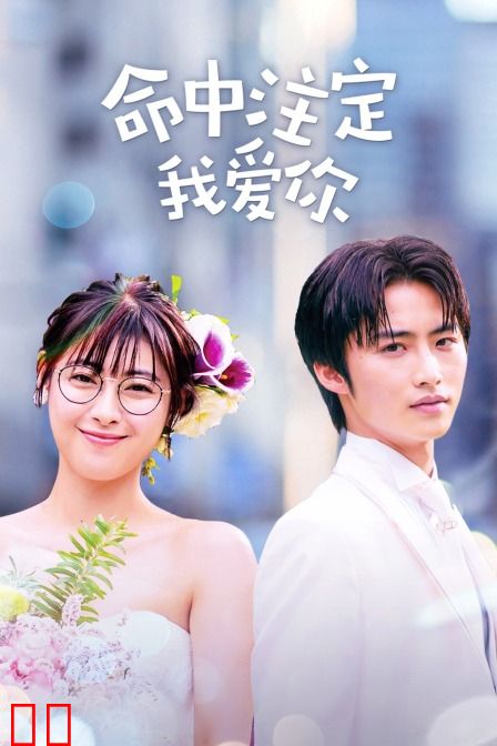 命中注定我爱你