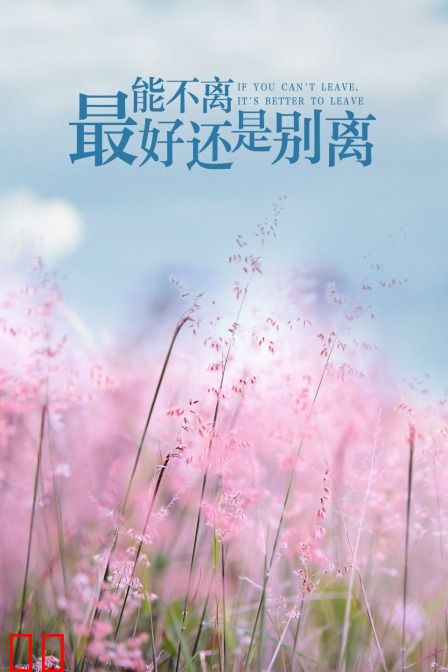 能不离，最好还是别离