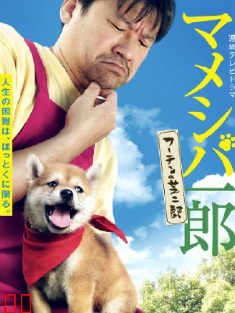 豆柴一郎 流浪的芝二郎篇