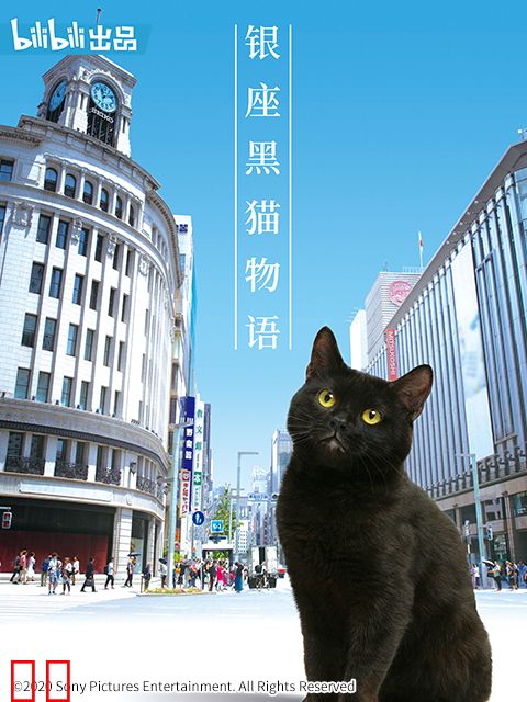 银座黑猫物语