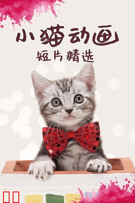 小猫动画短片精选