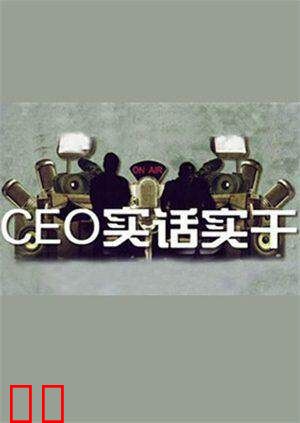 CEO实话实干 2011