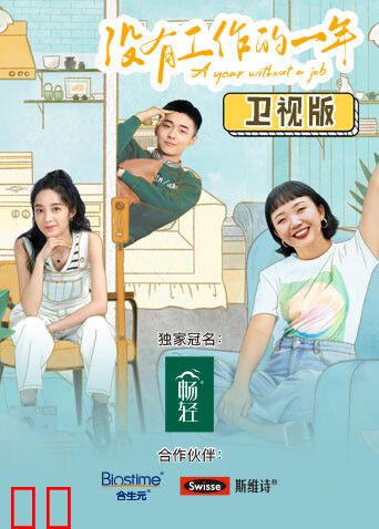 没有工作的一年 卫视版