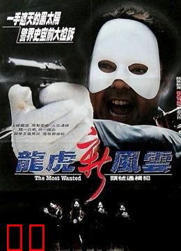 龙虎新风云（粤语）