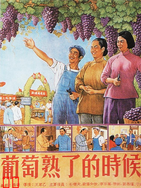 葡萄熟了的时候