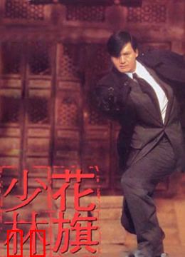 花旗少林（粤语）