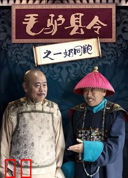 毛驴县令之一奶同胞