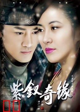 紫钗奇缘