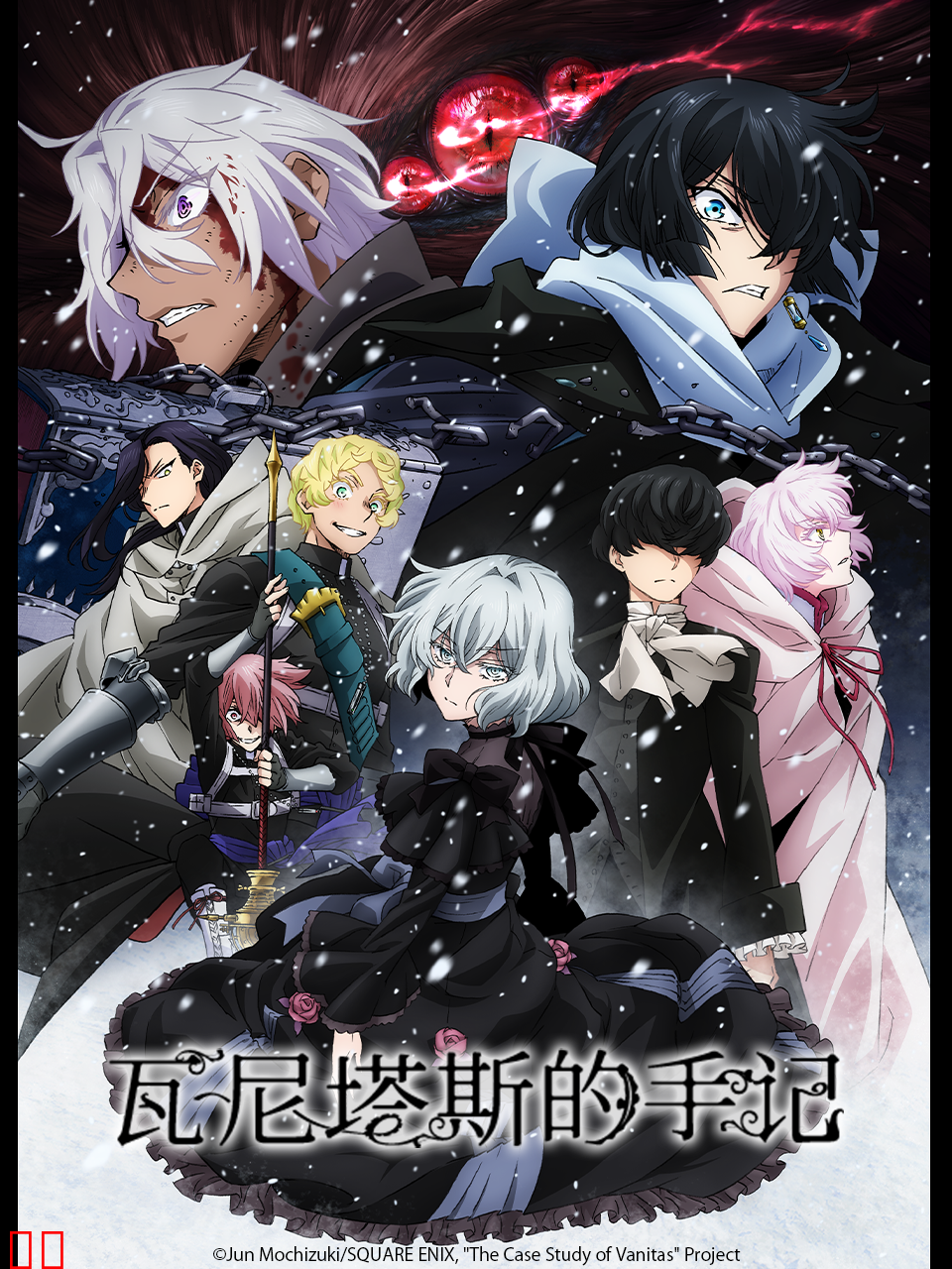 瓦尼塔斯的手记