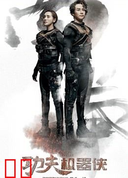 功夫机器侠之南拳