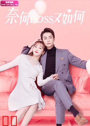 奈何BOSS又如何 越南语版