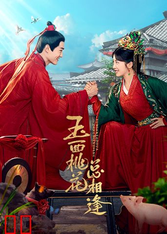 玉面桃花总相逢 卫视版