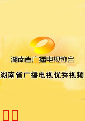 湖南省广播电视优秀视频