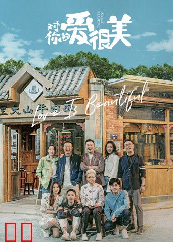 对你的爱很美 DVD版