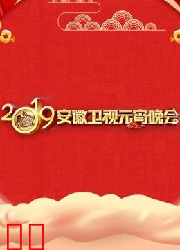 2019安徽卫视元宵晚会