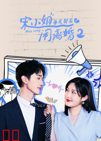 宋小姐每天都在闹离婚2