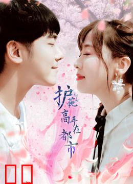 护花高手在都市