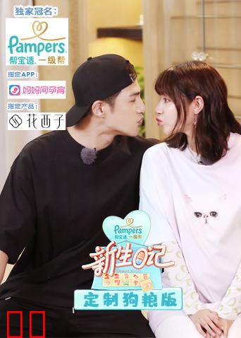 新生日记 定制狗粮版