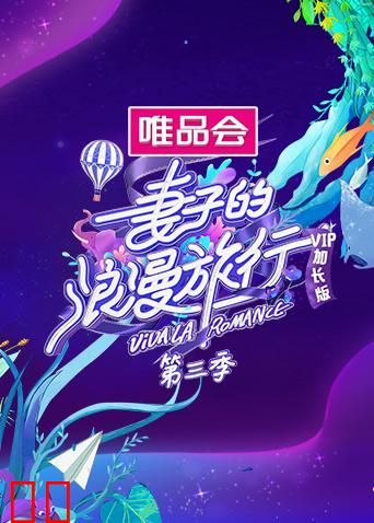 妻子的浪漫旅行3 VIP加长版