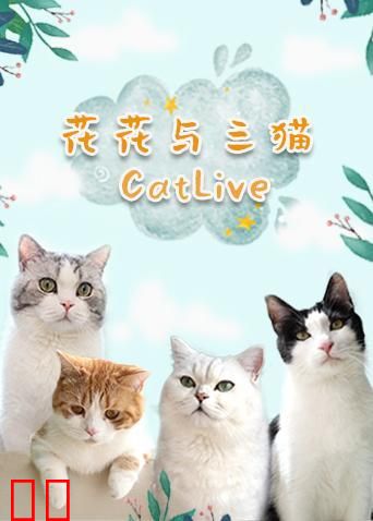 花花与三猫CatLive 2020