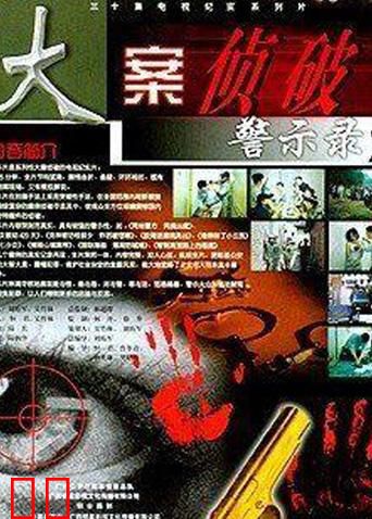 大案侦破警示录