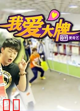 我爱大牌