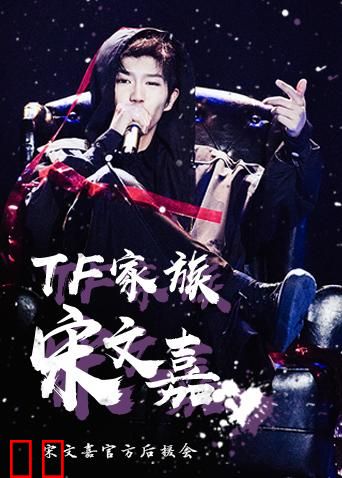 宋文嘉官方后援会