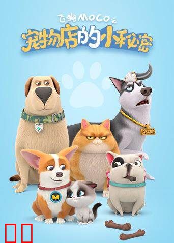 宠物店的小秘密 2020