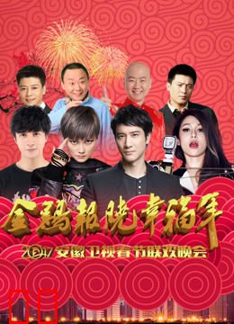 2017安徽卫视春晚