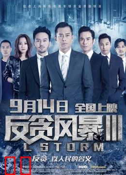 反贪风暴3（粤语）