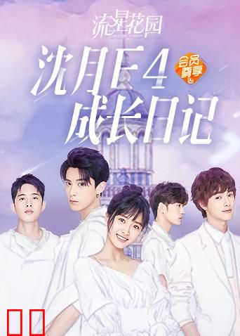 流星花园 沈月F4成长日记