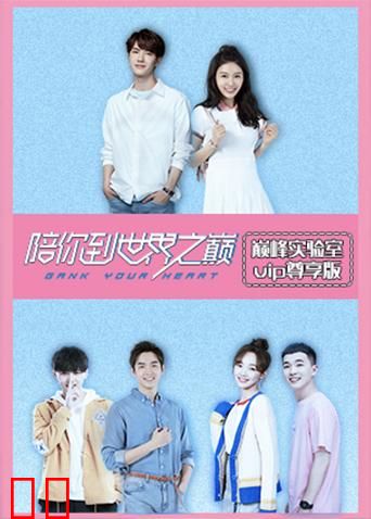 巅峰实验室 VIP尊享版