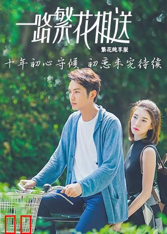 一路繁花相送 繁花纯享版