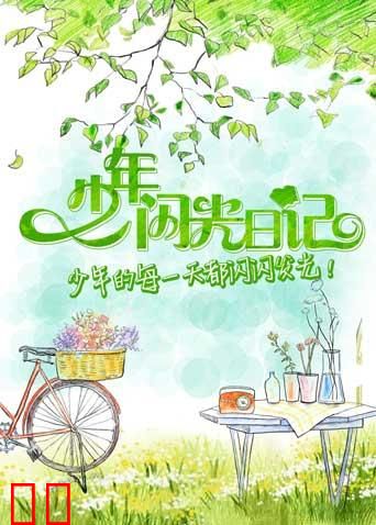 少年闪光日记 2017